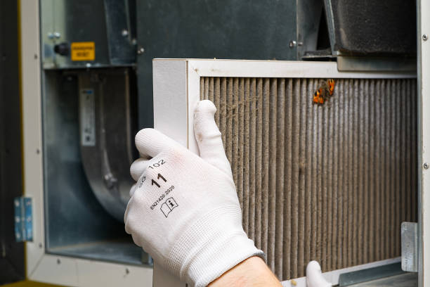 Best Emergency Air Duct Cleaning  in Woodland, WA
