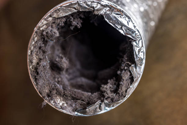Best Emergency Air Duct Cleaning  in Woodland, WA